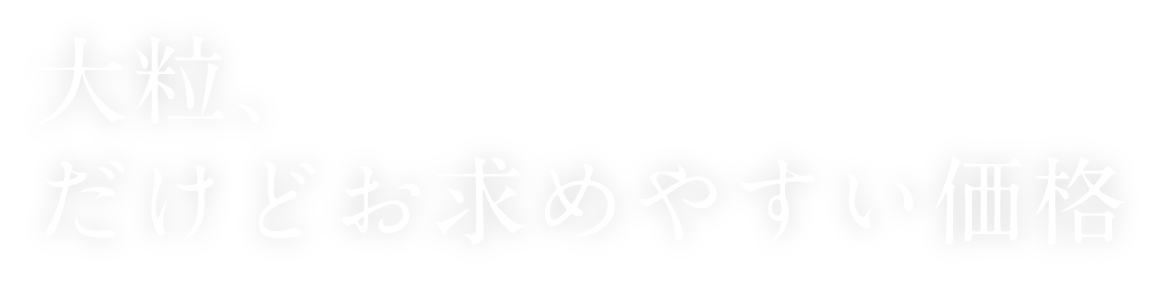 大粒、だけどお求めやすい価格