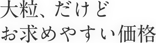大粒、だけどお求めやすい価格